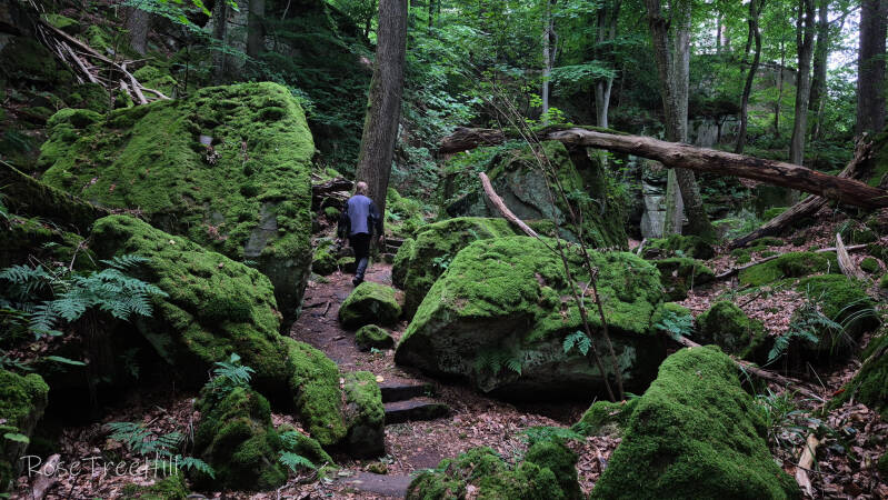 een pad loopt door een kloof met bemoste rotsen