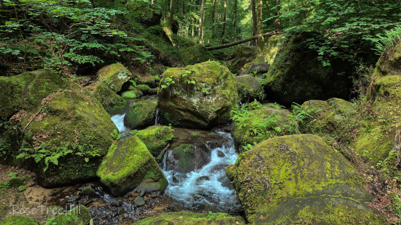 Een watervalletje stroomt tussen bemoste rotsen door