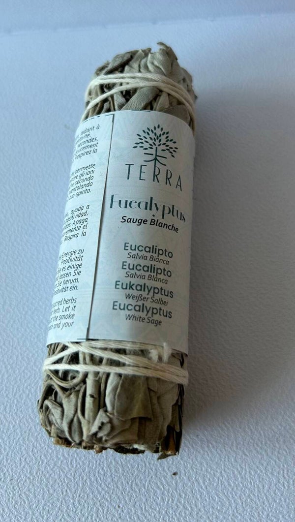 Sauge blanche & Eucalyptus fagot 25-30g 10 cm