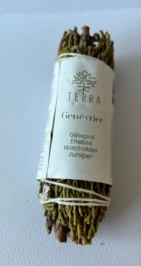 Juniper Génévrier fagot 25-30g 10cm