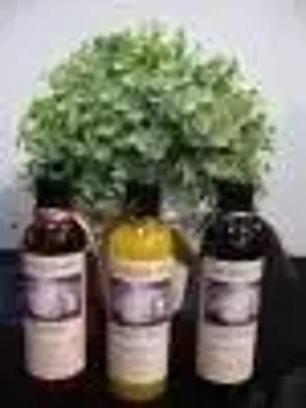 Kruidenbadolie Cleopatra 200 ml