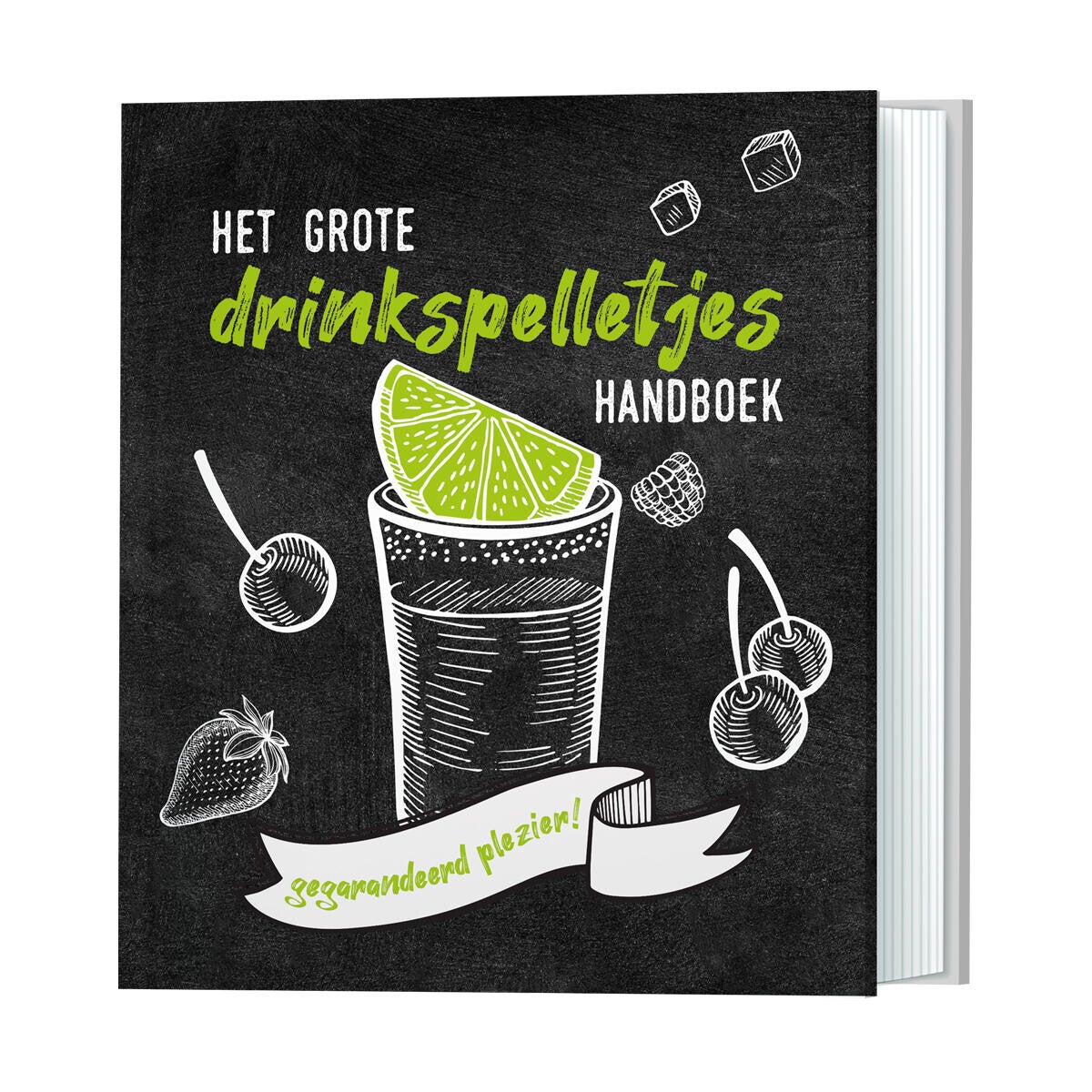 Het grote drinkspelletjes handboek - cadeau boek