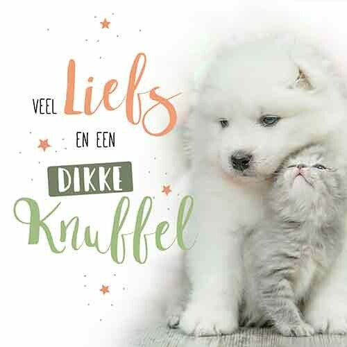 Knuffel - wenskaart