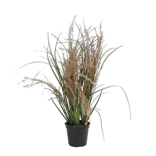 Kunstplant - gras