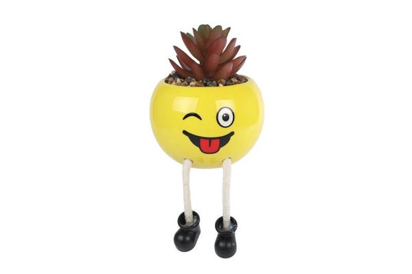 Bloempotje Smile - Grapje