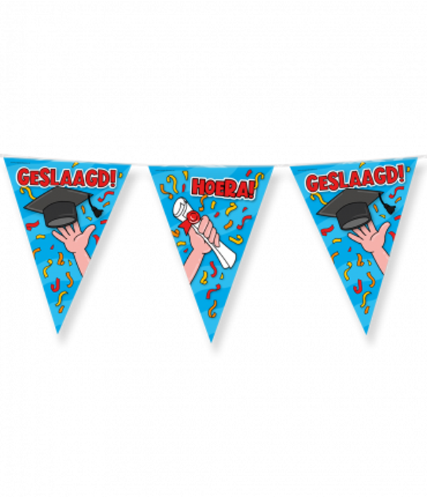 Hoera geslaagd! - vlaggenlijn
