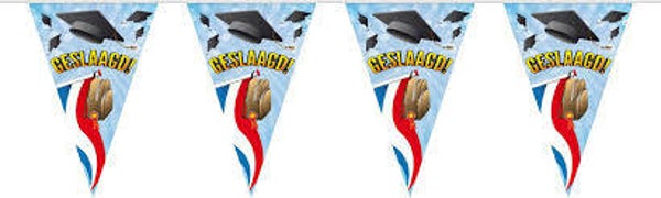 Geslaagd rood/wit/blauw - vlaggenlijn