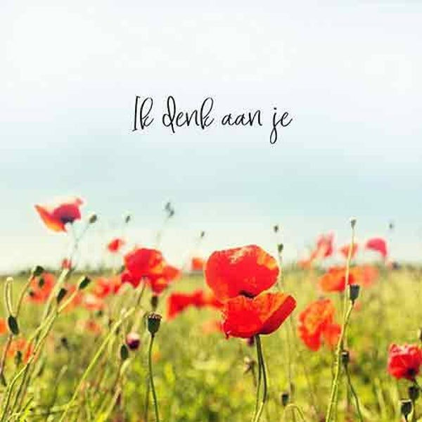 Ik denk aan je - wenskaart