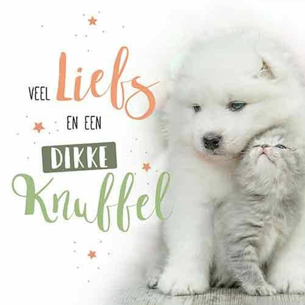 Knuffel - wenskaart