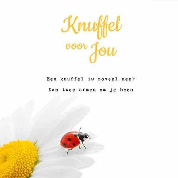 Knuffel - wenskaart