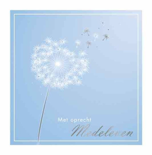 Met oprecht medeleven - condoleancekaart