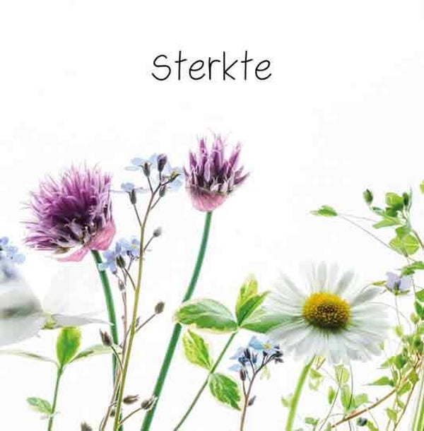 Sterkte - condoleancekaart