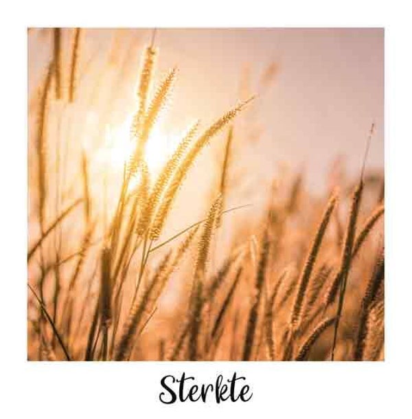 Sterkte - condoleancekaart