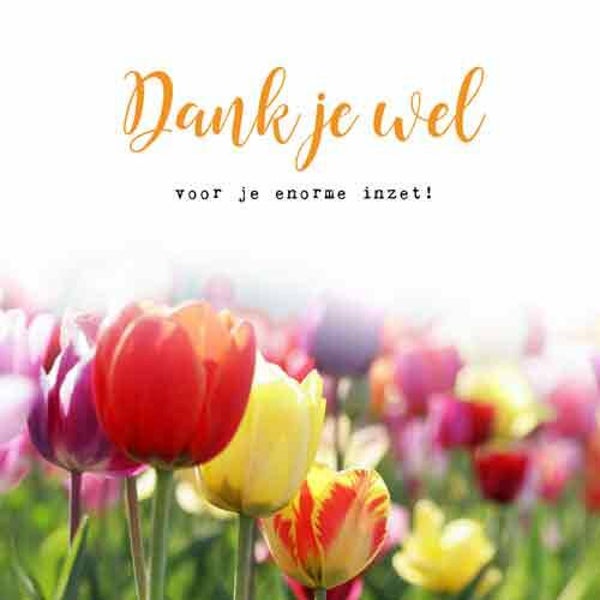 Dank je wel voor je enorme inzet! - wenskaart