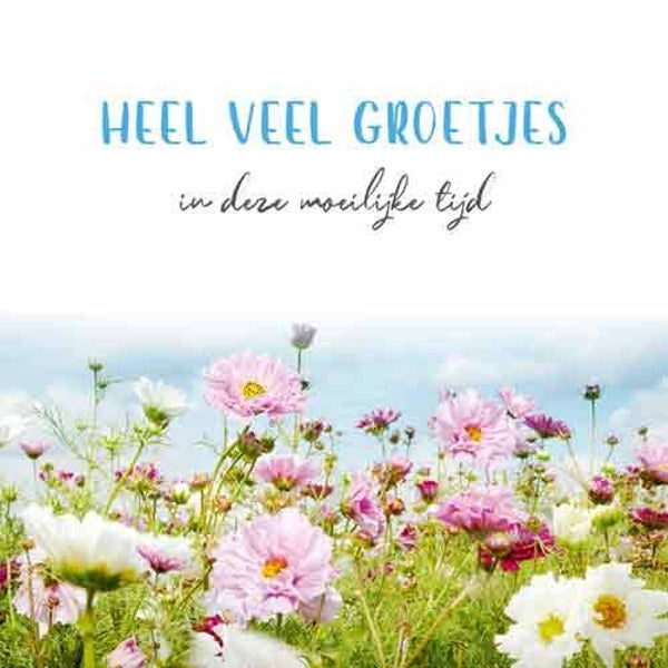 Heel veel groetjes - wenskaart