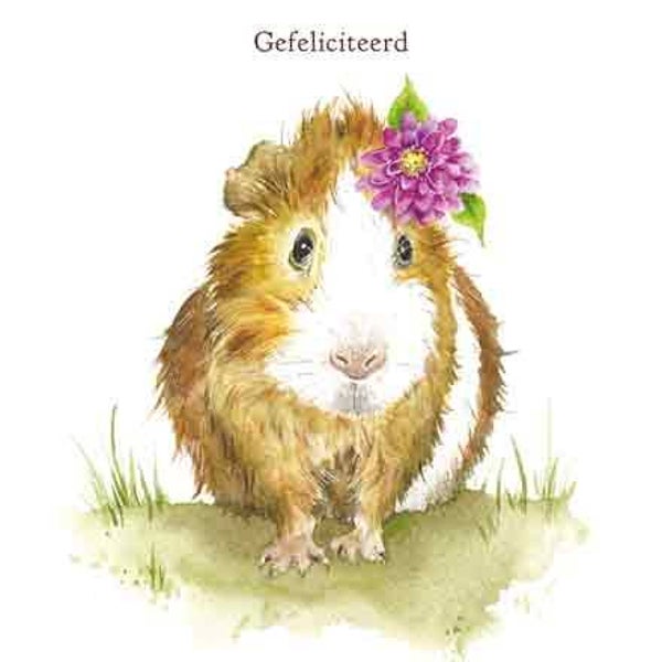 Cavia - wenskaart love country