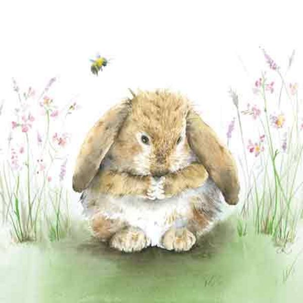 Konijn hangoor - wenskaart love country