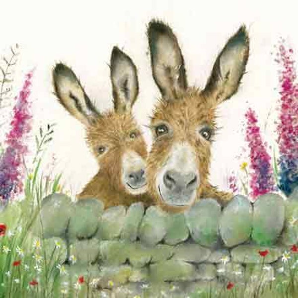 Ezels  - wenskaart love country