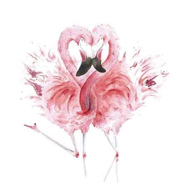Flamingo's - wenskaart love country