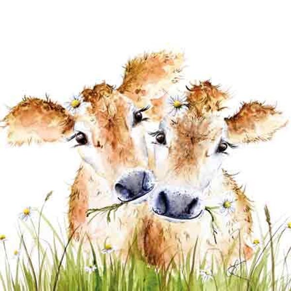 Koeien / madeliefjes - wenskaart love country