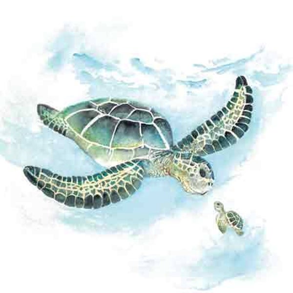 Schildpadden - wenskaart love country