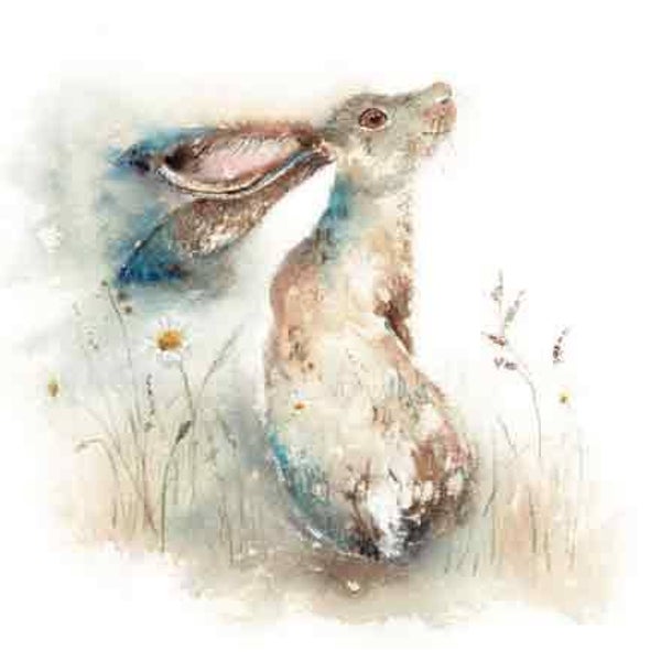 Haas / madeliefjes - wenskaart love country