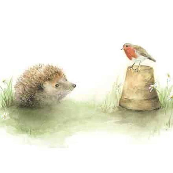 Egel & roodborstje - wenskaart love country