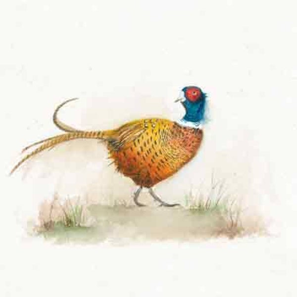 Fazant - wenskaart love country