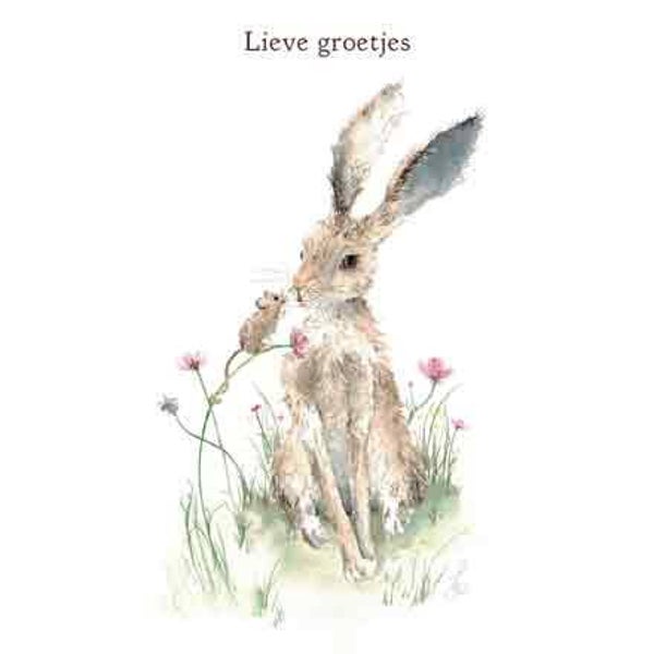 Haas & muisje - wenskaart love country