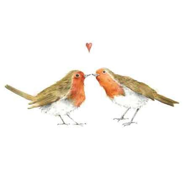 Roodborstjes - wenskaart love country