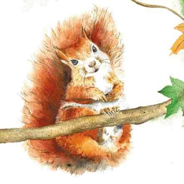 Eekhoorn - wenskaart love country