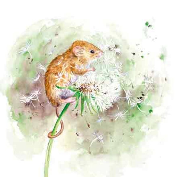 Muis / paardebloem  - wenskaart love country