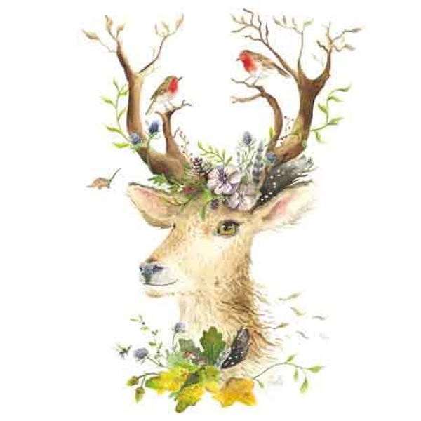Hert & roodborstjes - wenskaart love country
