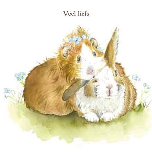 Cavia & konijn - wenskaart love country