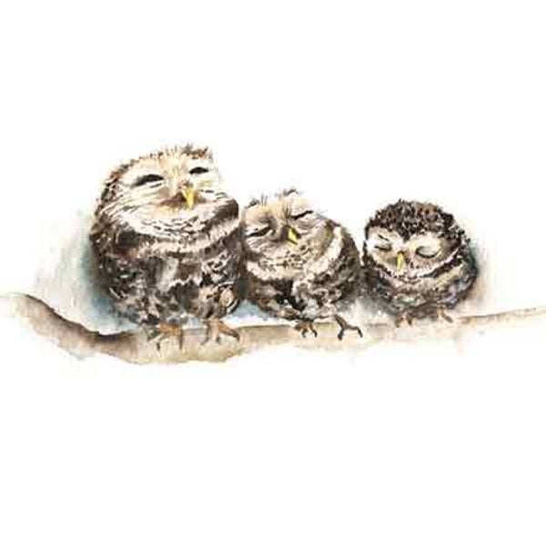 Uiltjes - wenskaart love country