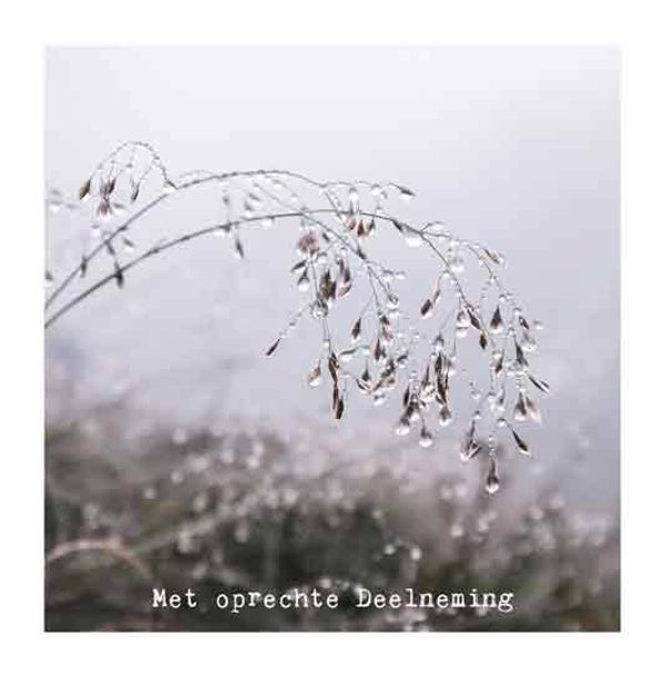 Met oprechte deelneming - condoleancekaart