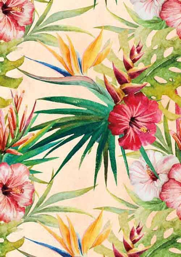 bloemen - wenskaart gold rush