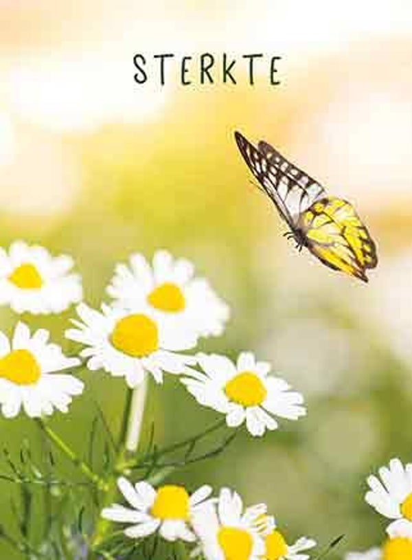 Sterkte - pakje condoleancekaarten