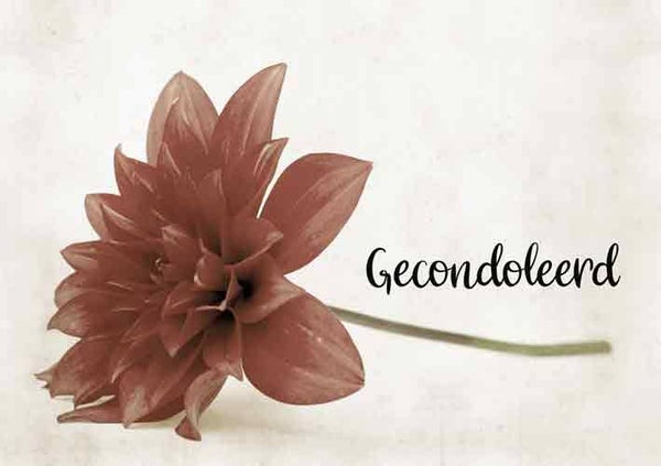 Gecondoleerd - condoleancekaart