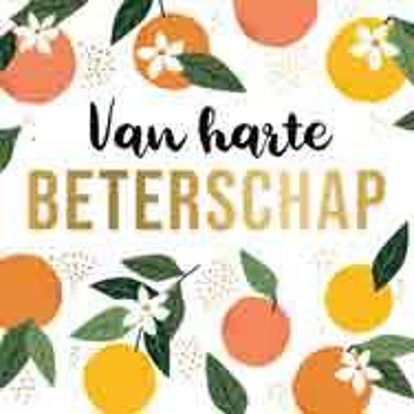 Van harte beterschap  - wenskaart Daisy XL