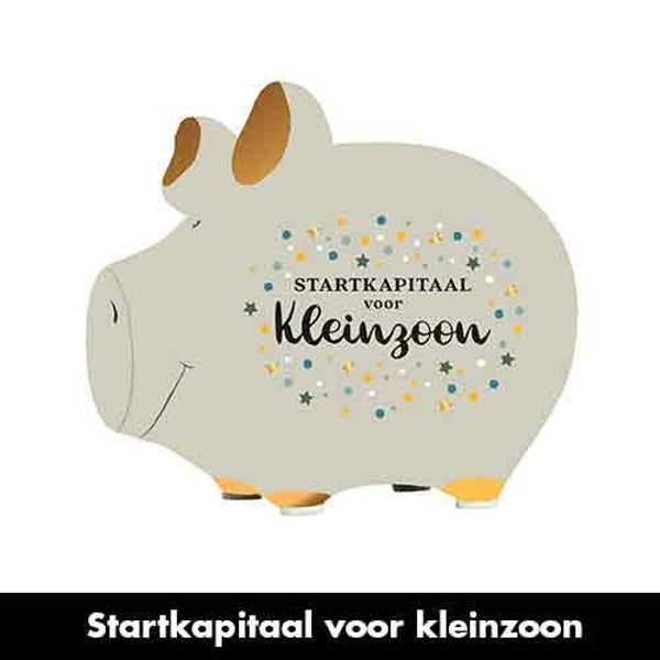 Startkapitaal kleinzoon - spaarpot varken in geschenkverpakking