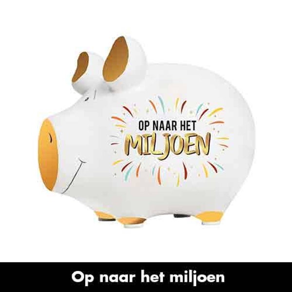 Op naar het miljoen - spaarpot varken in geschenkverpakking