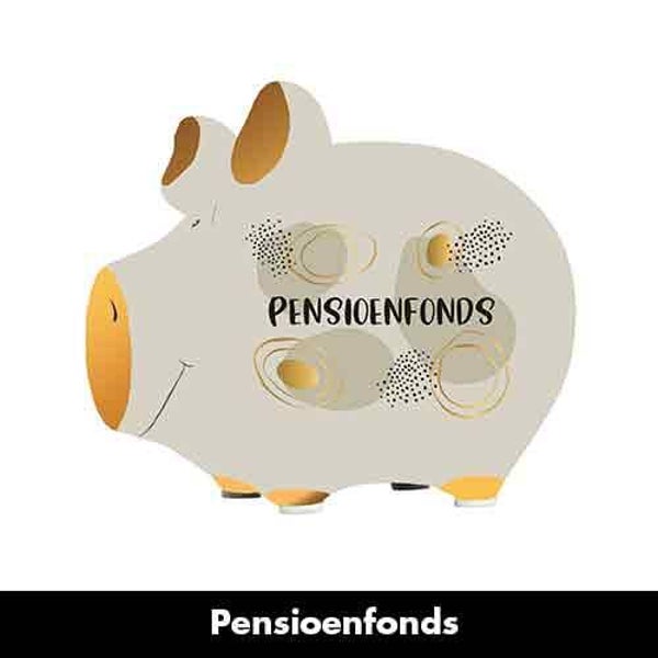 Pensioenfonds - spaarpot varken in geschenkverpakking