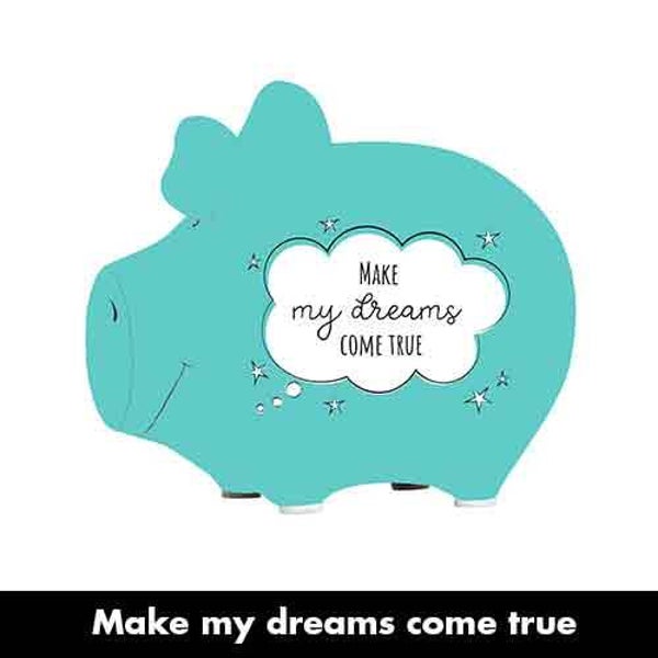 Make my dreams com true - spaarpot varken in geschenkverpakking