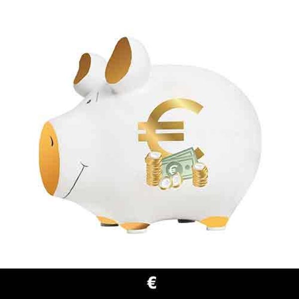 € - spaarpot varken in geschenkverpakking