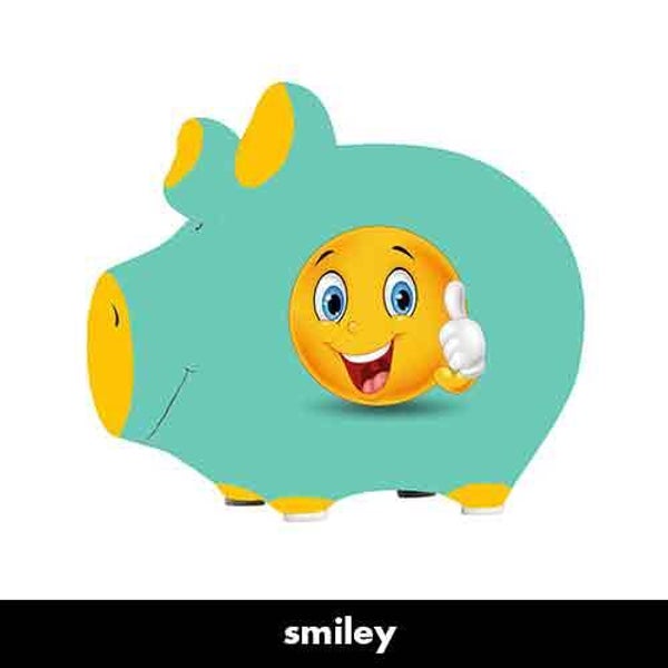 Smiley - spaarpot varken in geschenkverpakking