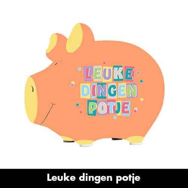 Leuke dingen potje - spaarpot varken in geschenkverpakking