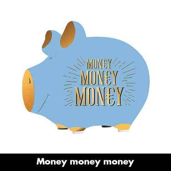 Money money money - spaarpot varken in geschenkverpakking