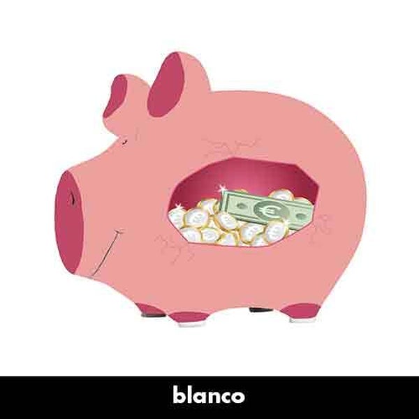 Geld - spaarpot varken in geschenkverpakking