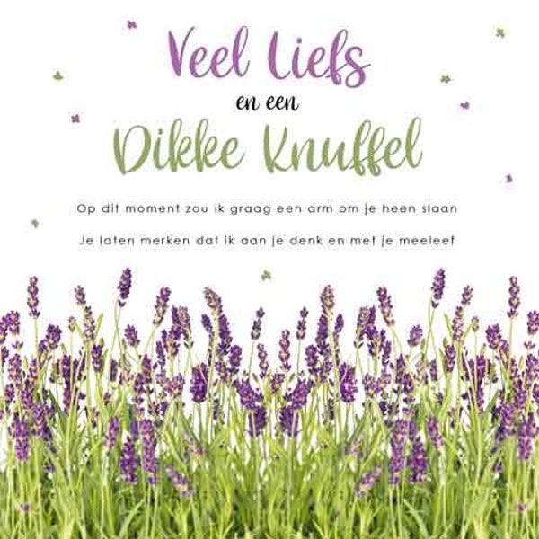 Veel liefs en een dikke knuffel - wenskaart
